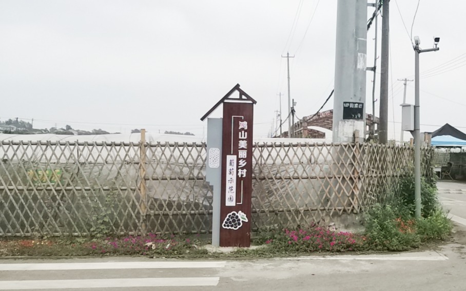 江蘇鴻山葡萄示范園水肥一體化系統(tǒng)