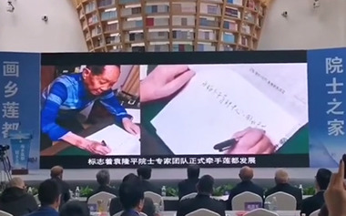 國(guó)家水稻分子育種中心麗水示范基地