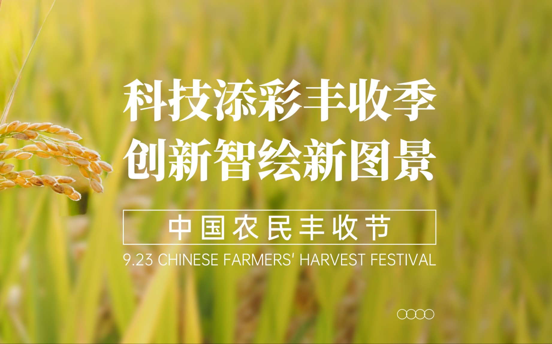 科技添彩豐收季，創新智繪新圖景！