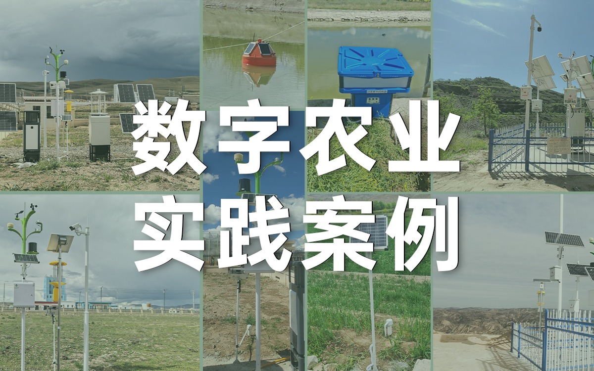 案例深一度 | 賽通科技如何用數字科技賦能西部農業