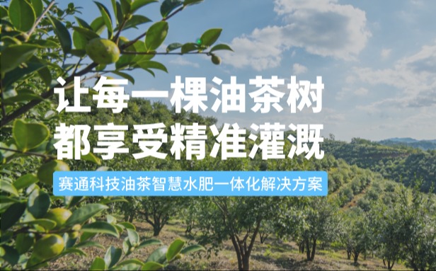賽通科技油茶智慧水肥一體化解決方案：讓每一棵油茶樹都享受精準灌溉